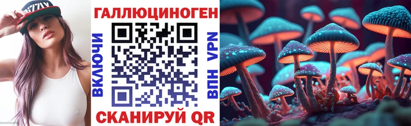 Галлюциногенные грибы Cubensis  даркнет Telegram  Нязепетровск 